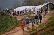 Than Uyên: Hơn 300 người tham gia đẩy nhanh tiến độ trồng cao su
